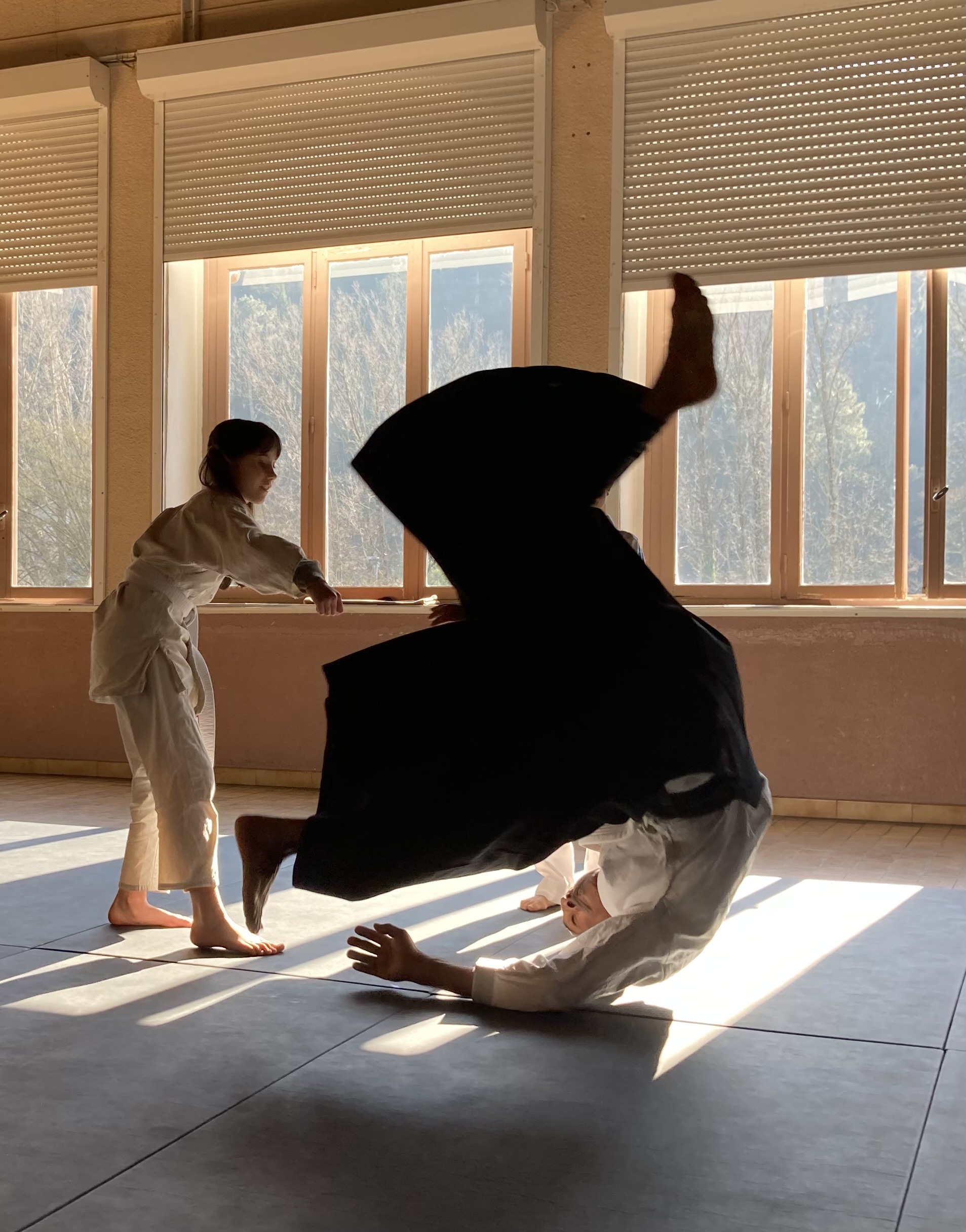 CLUB AIKIDO LASALLOIS