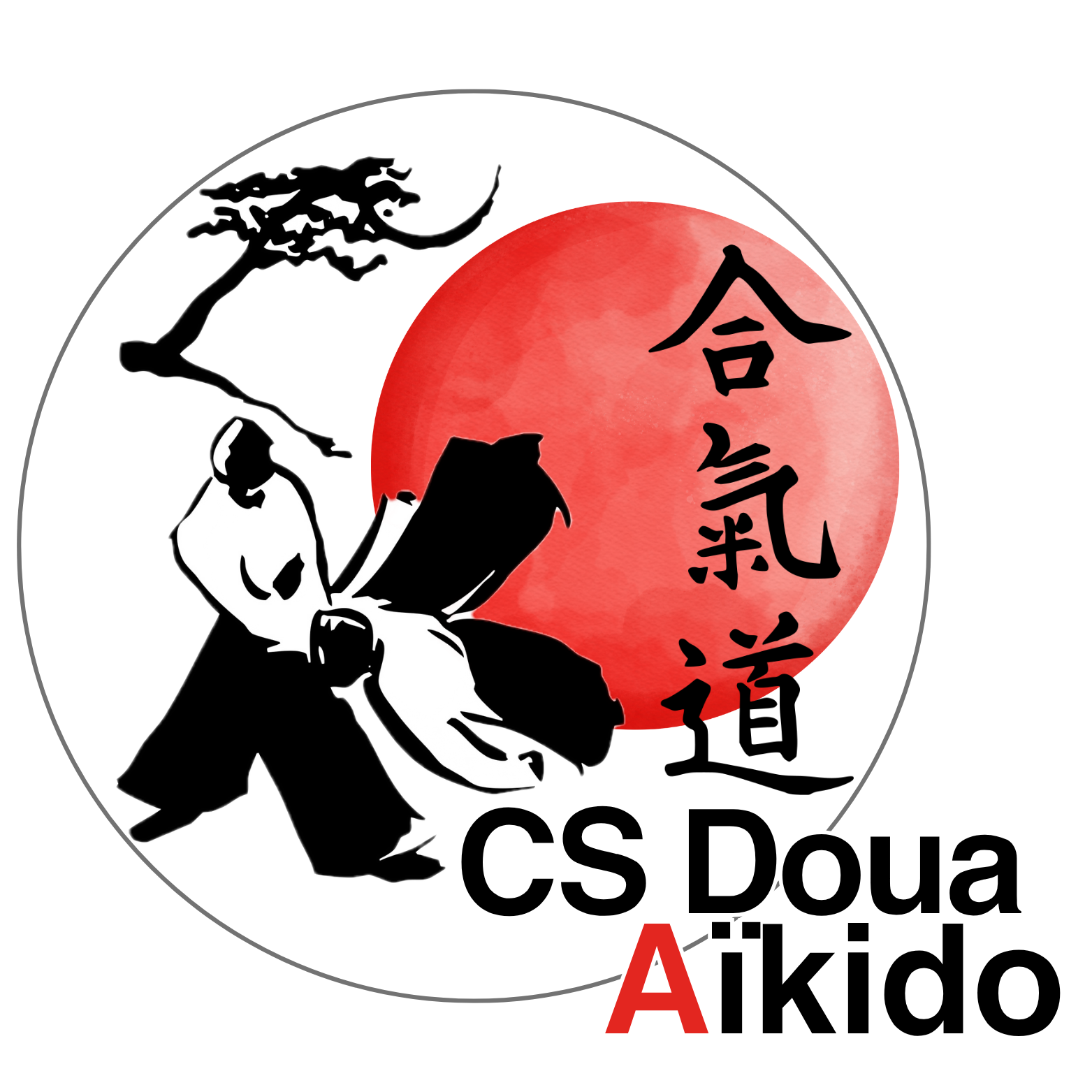 CS LA DOUA SECTION AIKIDO